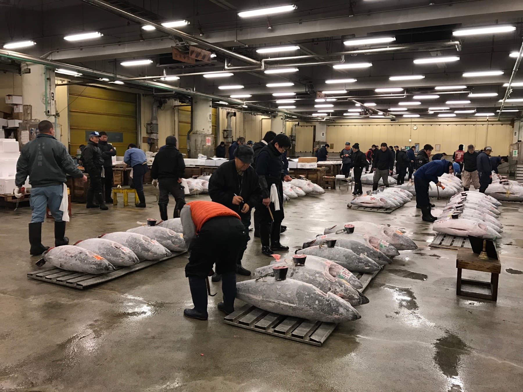 Tuna auction at Tsukiji fish market in Tokyo, a key part of the city's sushi and seafood culture